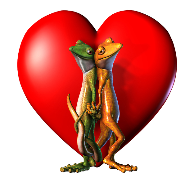 Geckos in Love