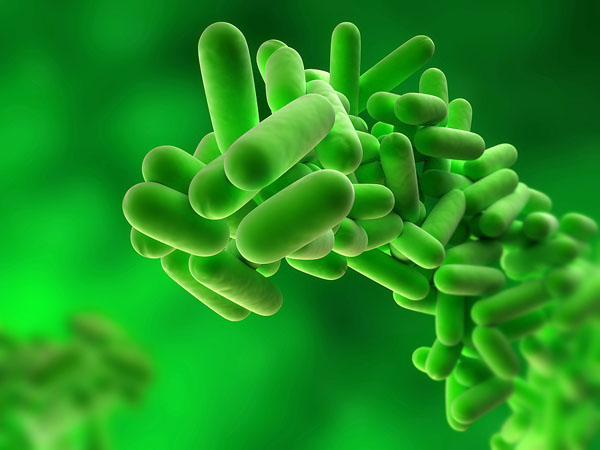   3D Bacteria Image ©Eraxion  