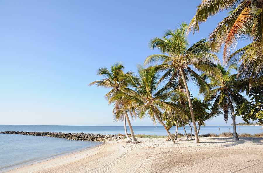   Image of Key West Beach in Florida by p.lange  