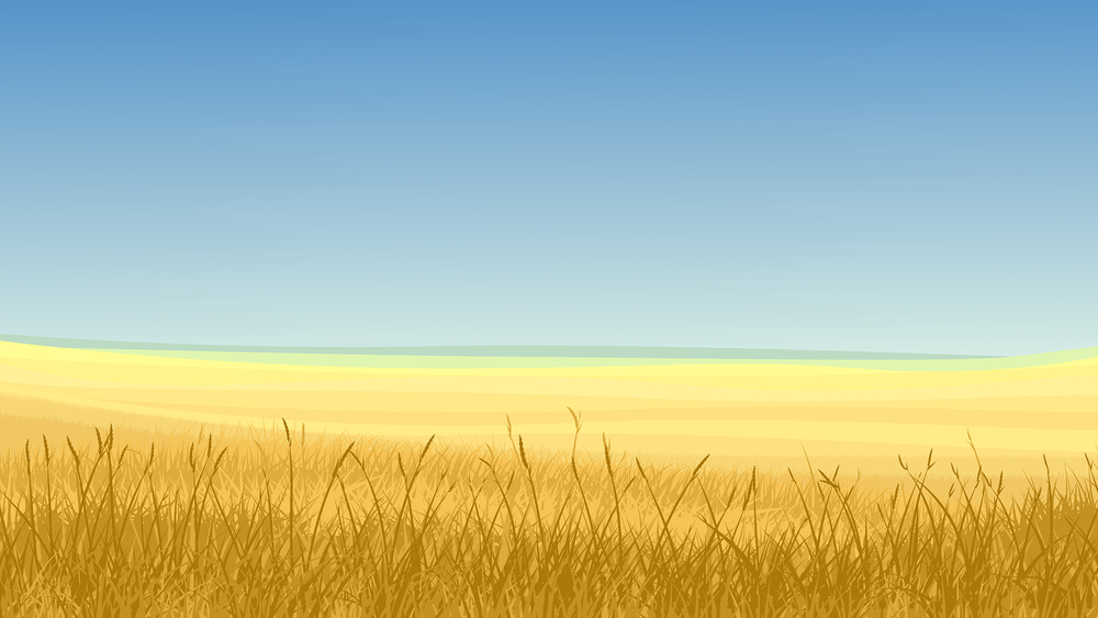   Field of Yellow Grass image ©Vertyr    