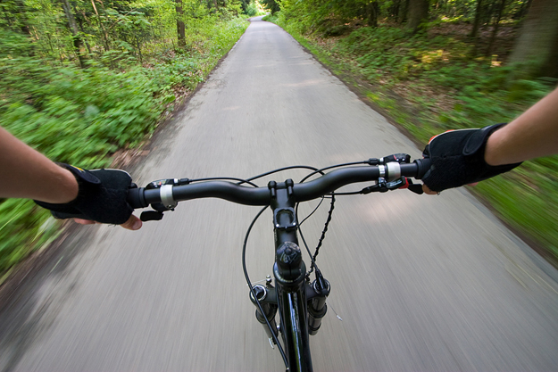  Biking on a Forest Road 
