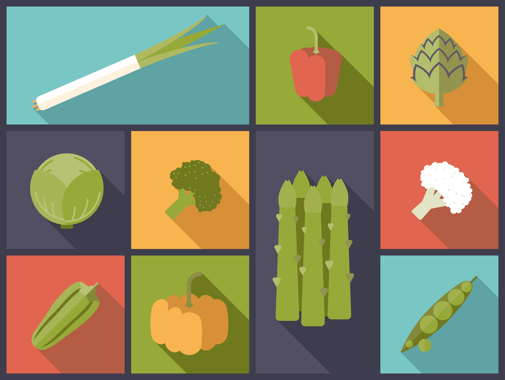  Flat icon illustration of vegetables.  