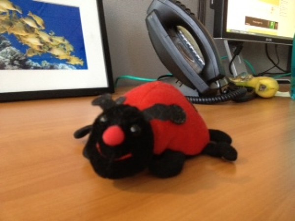  Photo of Ladybug Desk Trinket 