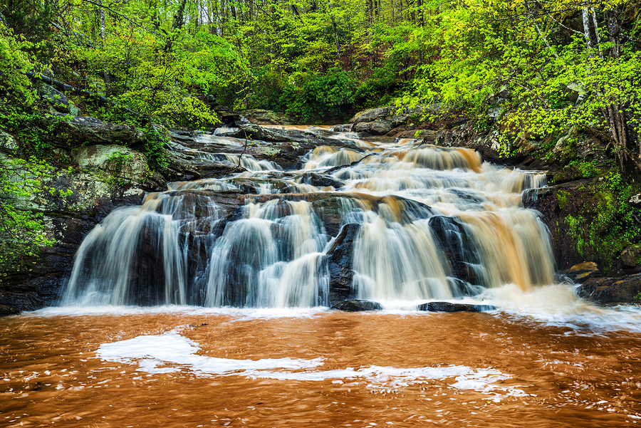   Waterfall in mountains near Atlanta  by  Rob Hainer  