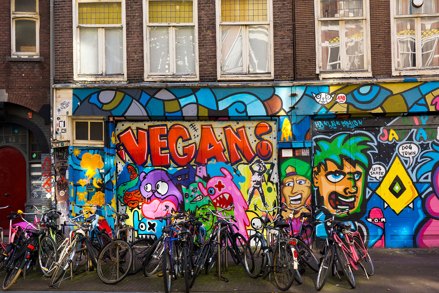   Image of bikes in front of graffiti  by  toxawww    The lively colors and artistry of Amsterdam's street art scene is one of the city's benchmarks. It's also one of the most pleasant discoveries to come across on a bike tour! 