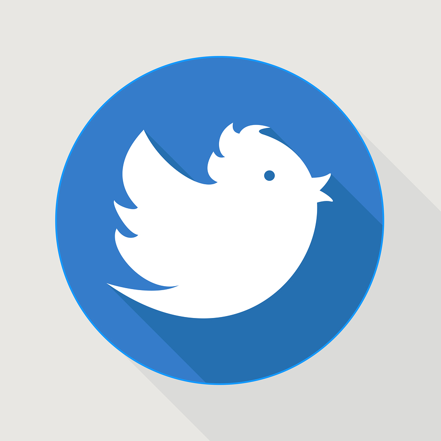  Twitter-ish bird |  oculo  