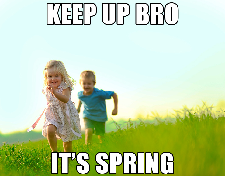   The Memes of Spring  
