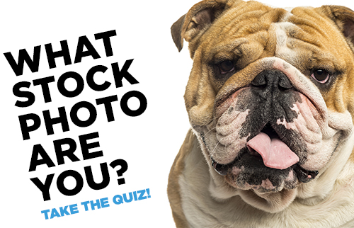   Quiz: What Stock Photo Are You?   