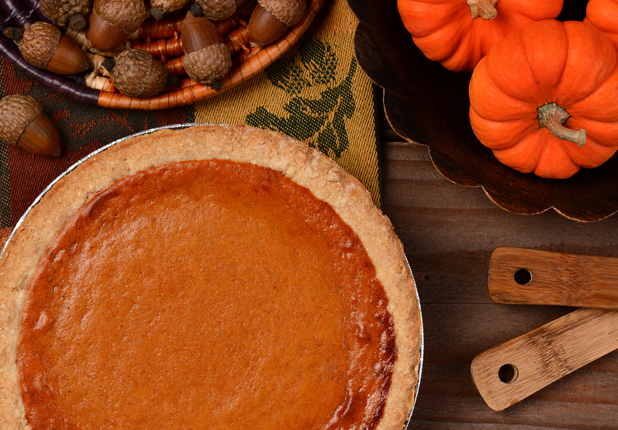   Pumpkin Pie by SCPhotog  