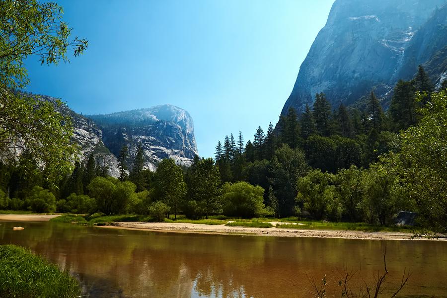   LoonChild  | Yosemite Valley 