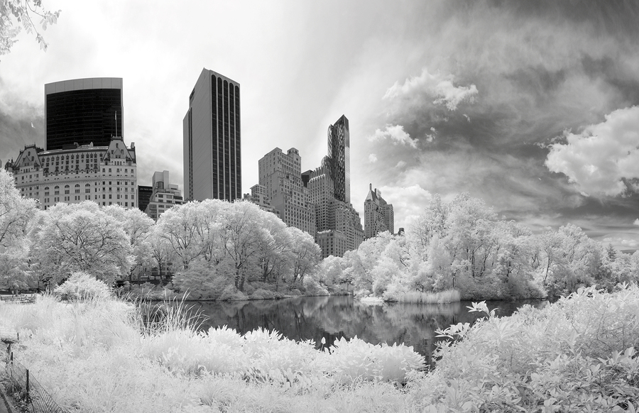   View from the lake at Central Park  