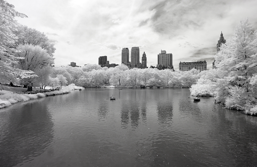   Lake at Central Park  