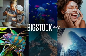 Bigstock Blog